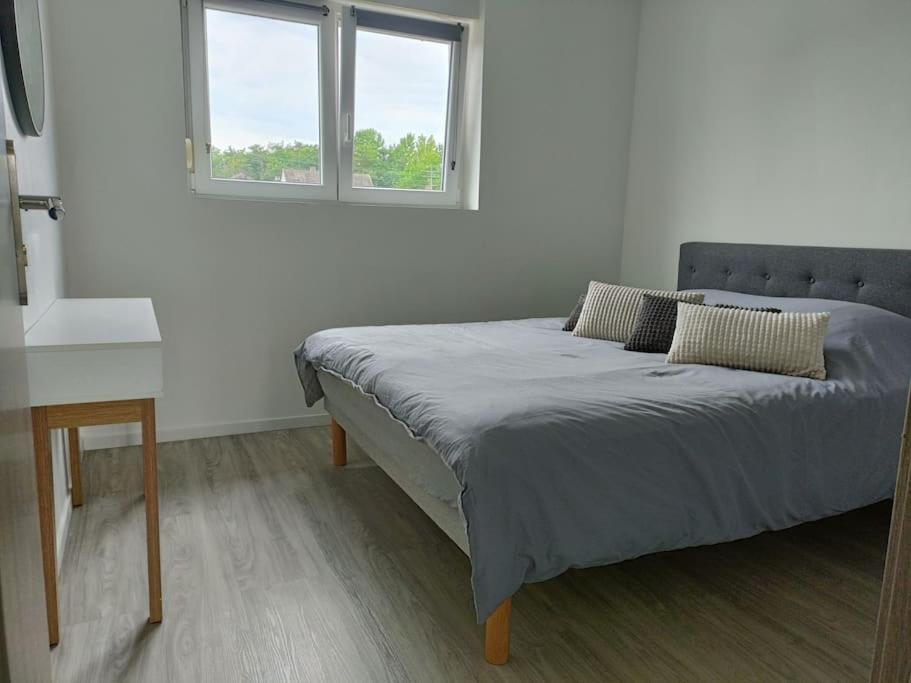 Appartement Entier F3 Renove - Petite Pause A Selestat Exterior photo