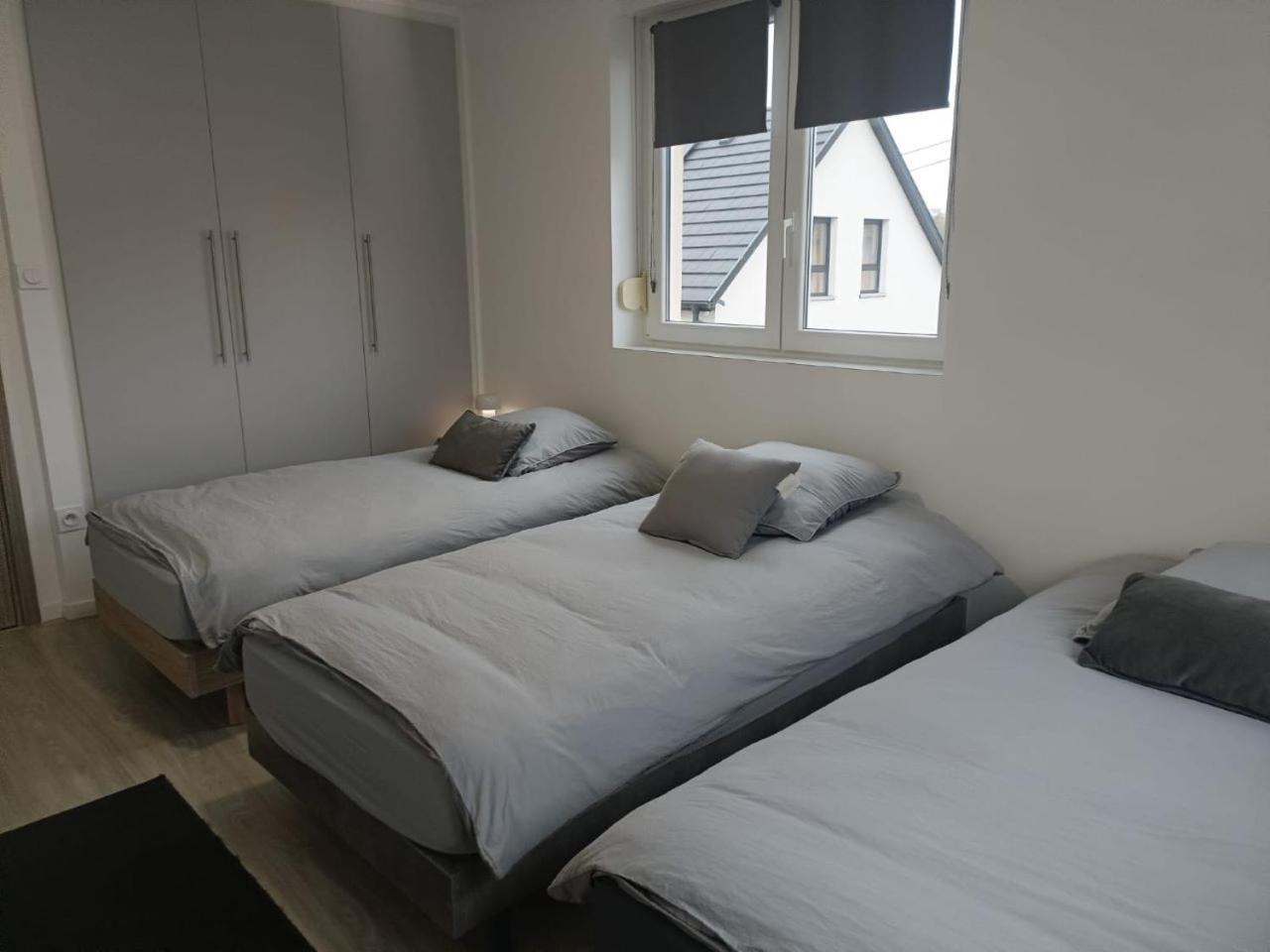 Appartement Entier F3 Renove - Petite Pause A Selestat Exterior photo